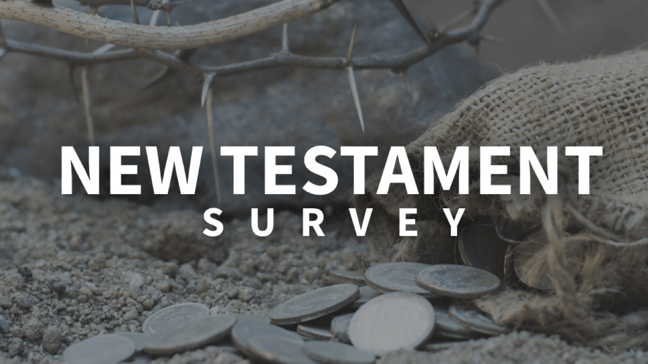 new-testament-survey.PNG